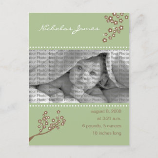 Bebê Nascimento Anúncio Sage Green Branch Design