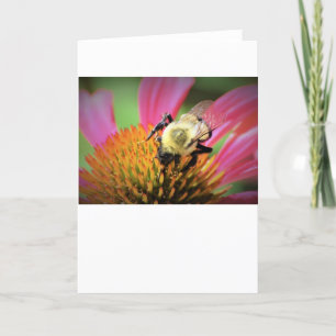 Bebê no Coneflower, cartão