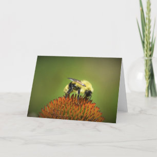 Bebê no Coneflower, cartão