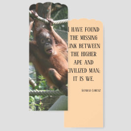 Bebê Orangutan - Aguente aí, aspas