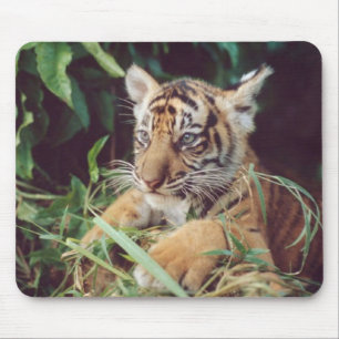 Bebê Oselote Mousepad