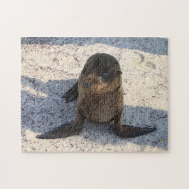 Bebê Sea Lion Quebra-cabeça