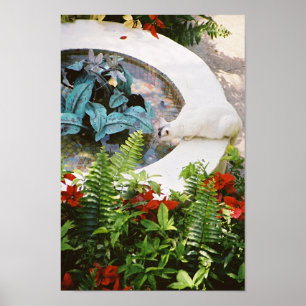 Bebendo da fonte do gato 1 de Hemingway - poster &