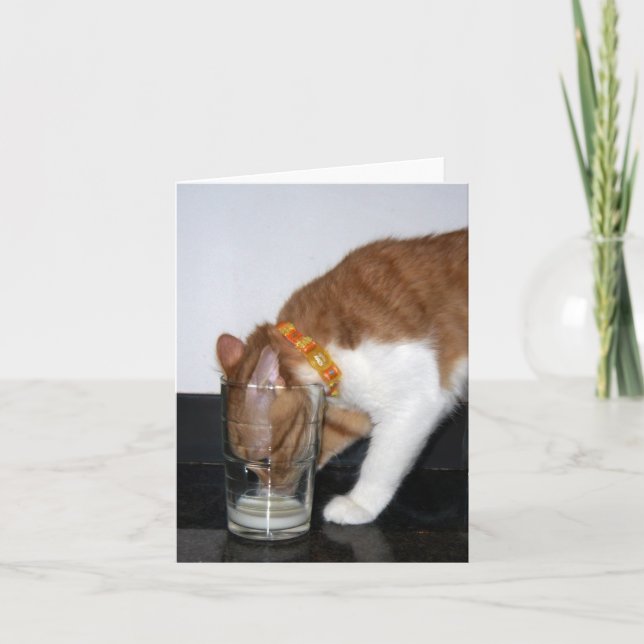 Bebendo engraçado do gato do cartão de nota do (Frente)