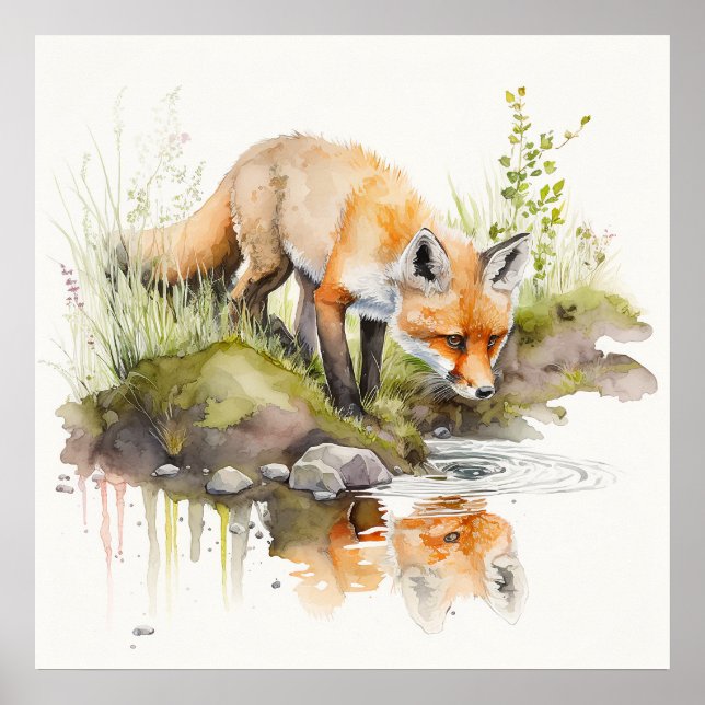 Bebês Impressões de animais para a enfermaria, Saf (Frente)