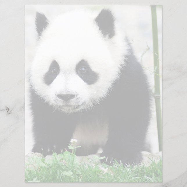Bebês Mais Pobres | Bebê-Panda (Frente)