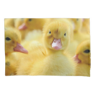 Bebês Mais Pobres Bebê/Pato