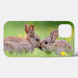 Bebês Mais Pobres Bunny Kiss