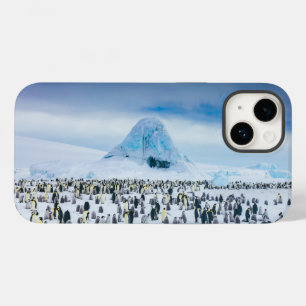 Bebês Mais Pobres   Colônia de Imperador Penguin