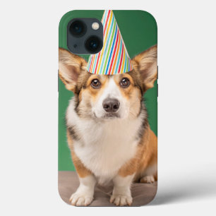 Bebês Mais Pobres   Corgi Birthday Puppy
