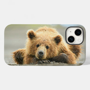 Bebês Mais Pobres Cubo-Urso-Marrom Costeiro