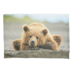 Bebês Mais Pobres Cubo-Urso-Marrom Costeiro