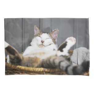Bebês Mais Pobres   Gato na cama