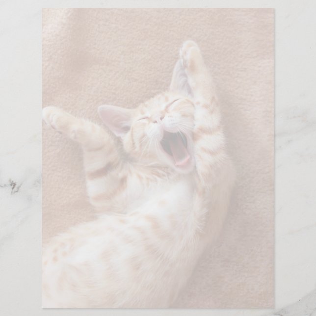 Bebês Mais Pobres | Ginger Kitten Yawning (Frente)