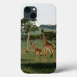 Bebês Mais Pobres Giraffe Calf & Mama