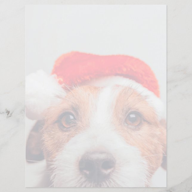 Bebês Mais Pobres | Jack Russell Dog Santa Claus (Frente)