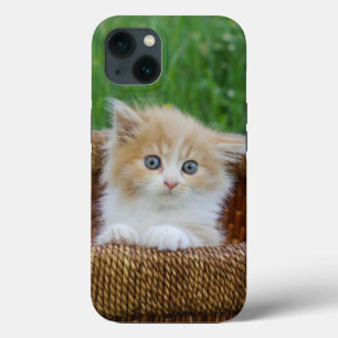 Bebês Mais Pobres Kitten Azul