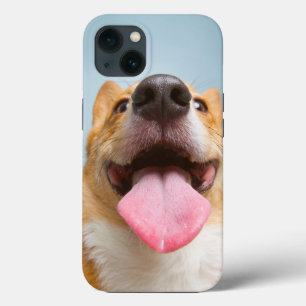 Bebês Mais Pobres   Língua Corgi