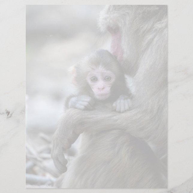 Bebês Mais Pobres | Macaco japonês e bebê (Frente)