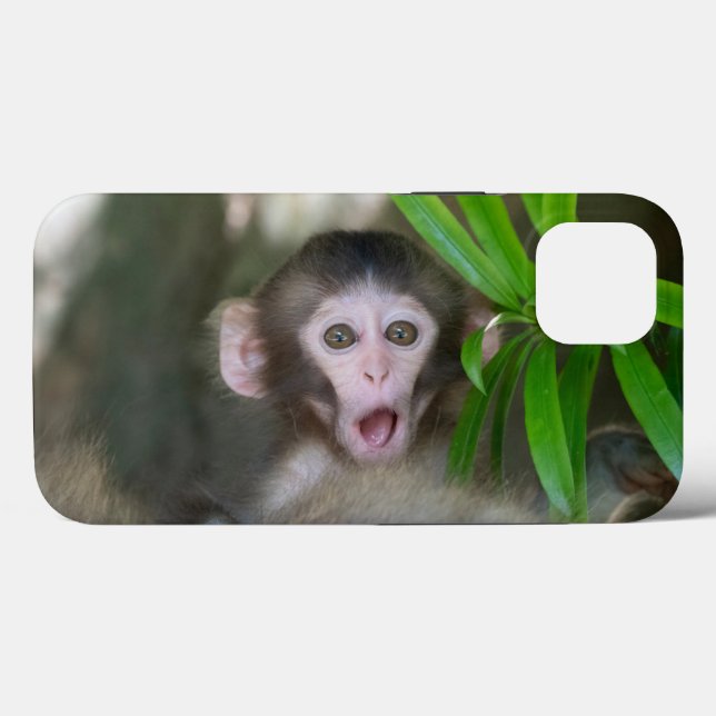 Bebês Mais Pobres | Macaco surpreso na neve (Verso (horizontal))