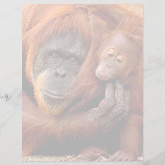 Bebês Mais Pobres | Orangutan Mãe e Bebê (Frente)