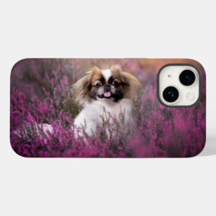 Bebês Mais Pobres Pekingese Puppy