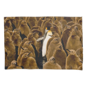 Bebês Mais Pobres   Pinguim Entre Jovens