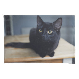 Bebês Mais Pobres   Retrato de um Gato Negro