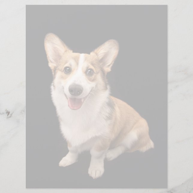 Bebês Mais Pobres | Sorriso De Corgi Puppy (Frente)
