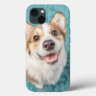Bebês Mais Pobres Sorriso De Puppy Corgi