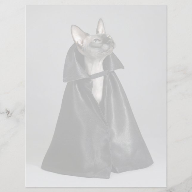 Bebês Mais Pobres | Sphynx Hairless Cat (Frente)