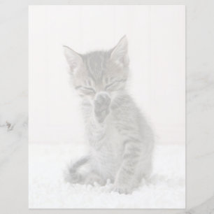 Bebês Mais Pobres   Tabby Kitten De Licença