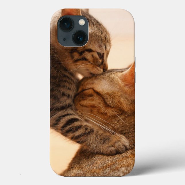 Bebês Mais Pobres | Tabby Kitten Kiss (Verso)