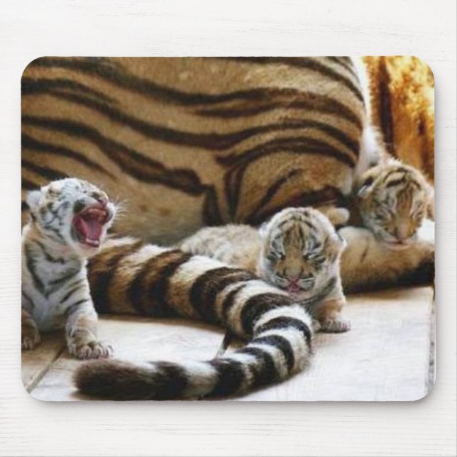 Bebês Mousepad do tigre (Frente)