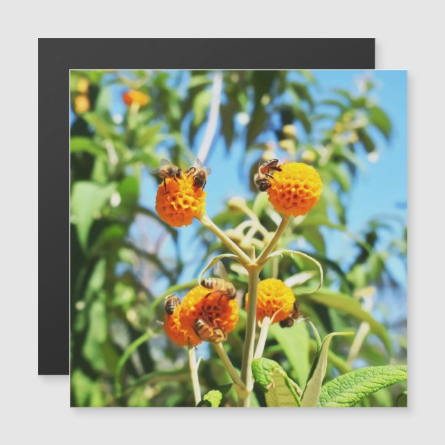 Bebês no trabalho Cartão magnético (Frente/Verso)