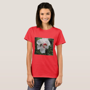 Bebida tirando da Camisa Vermelha Branca de Sharon
