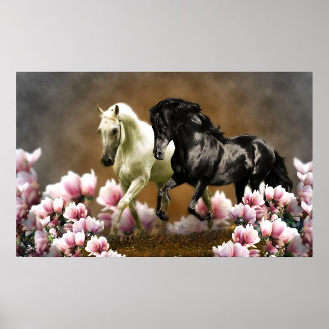 Beco de Magnolia - Poster (Frente)