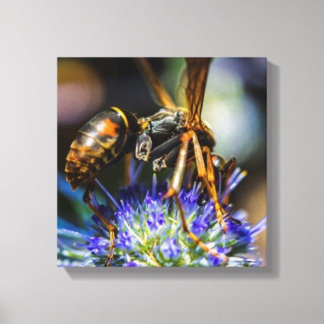 Bee Aware 12" x 12", 1,5", Canvas Simples Enrolado (Frente)