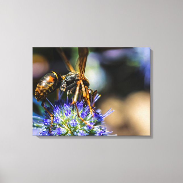 Bee Aware 24" x 18", 1,5", Canvas do Solteiro (Frente)