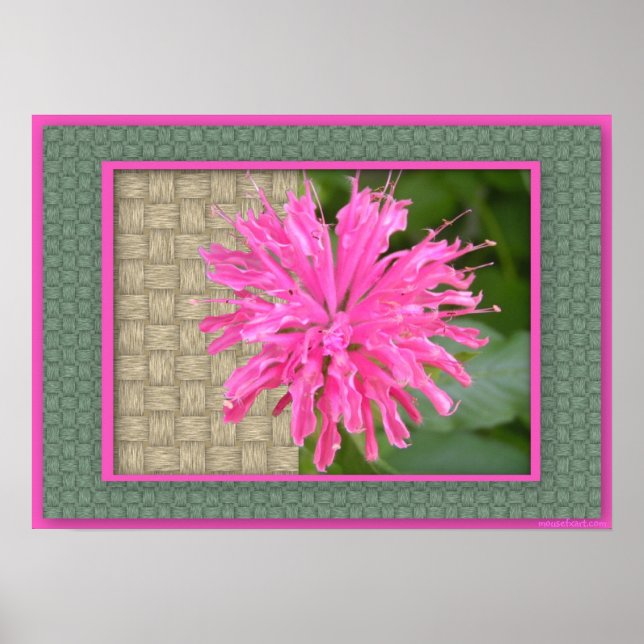 Bee Balm Poster (Frente)