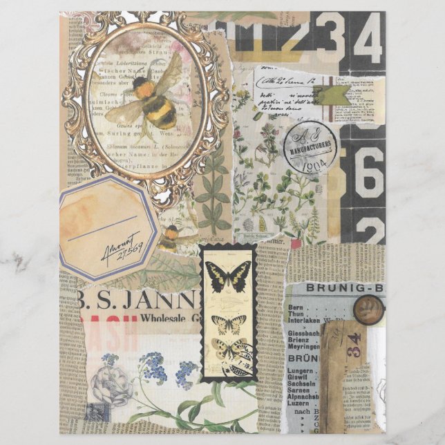 Bee Botanical Vintage Ephemera Scrapbook Paper (Frente)
