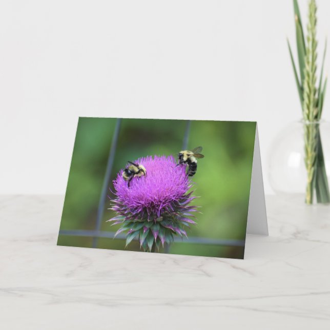 Bee, cartão (Frente)