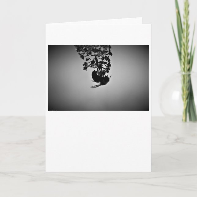 Bee, cartão (Frente)