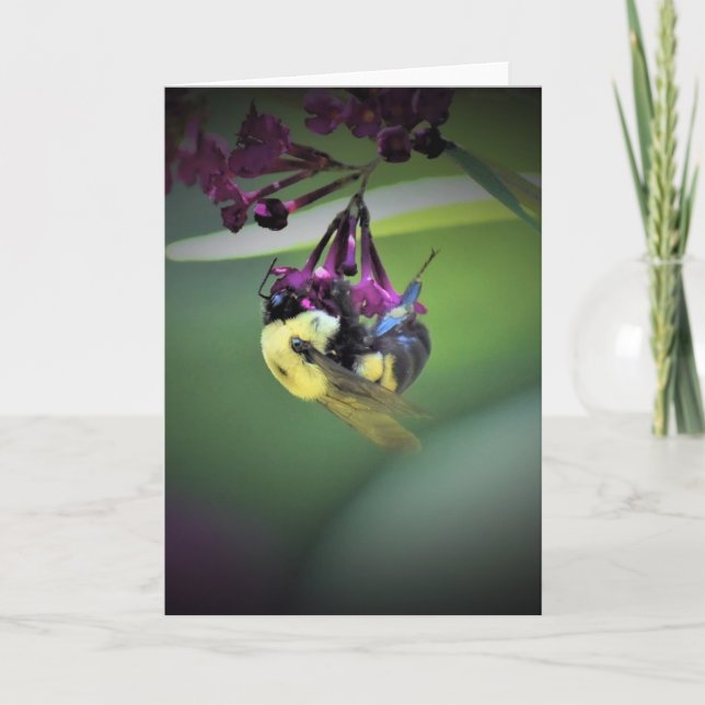 Bee, cartão (Frente)