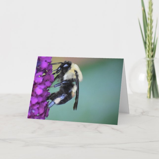 Bee, cartão (Frente)