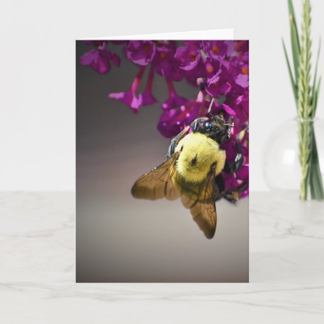 Bee, cartão (Frente)