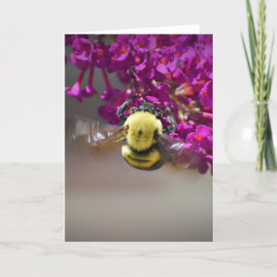 Bee, cartão