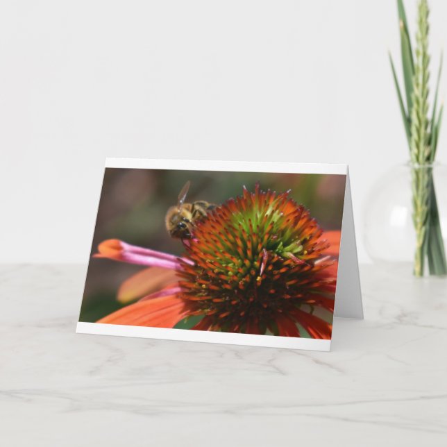 Bee, cartão (Frente)