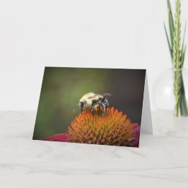 Bee, cartão