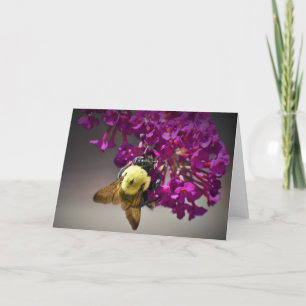 Bee, cartão